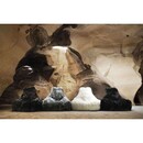 Extreme Lounging Mighty B Fur Bean Bag from Accessories for the Home