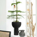 Madam Stoltz Black Iron Flower Pot from Accessories for the Home