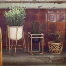 Madam Stoltz Set of 2 Bamboo & Iron Plant Stands from Accessories for the Home