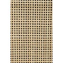 Guuji Rattan & Iron Slim Cabinet from Accessories for the Home