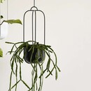Hubsch Iron Hanging Planters (Set of 2) from Accessories for the Home