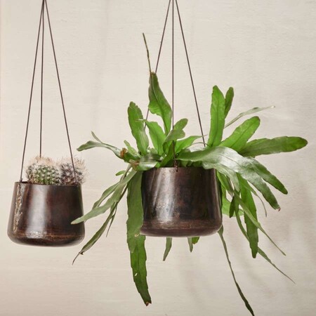 Indoor hanging plant pot made from reclaimed iron and hung with leather string
