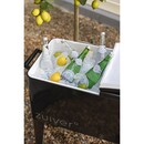 Zuiver Cooler Be Cool- Black, Cream or Green from Accessories for the Home