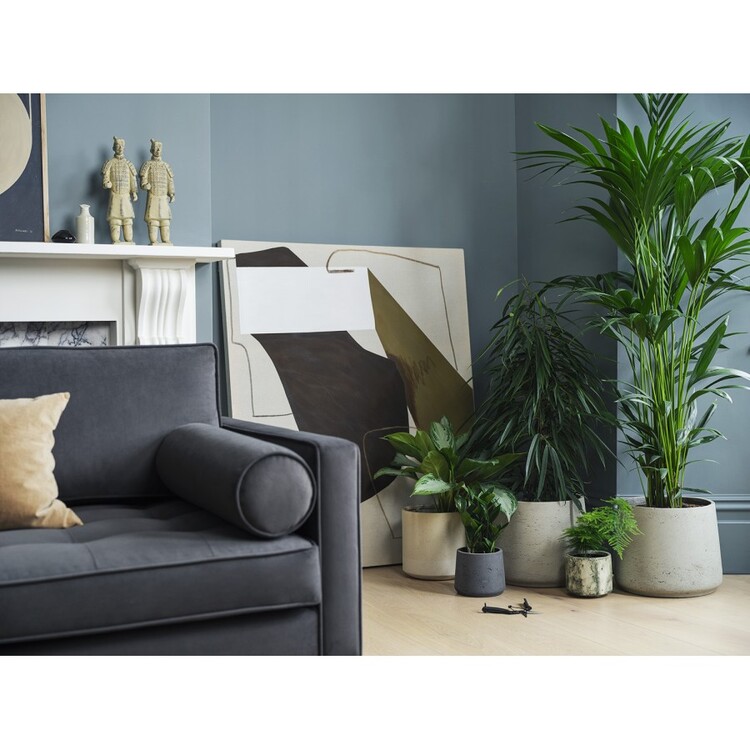 Swyft Model 02 Three Seater Sofa in Velvet from Accessories for the Home