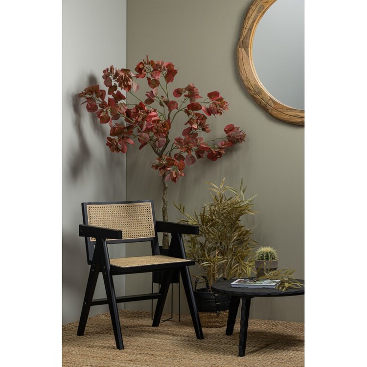 Gunn Rattan & Pine Dining Chair - Black from Accessories for the Home Gunn Rattan & Pine Dining Chair - Black from Accessories for the Home
