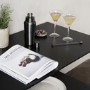 Grunge Gunmetal Cocktail Shaker from Accessories for the Home
