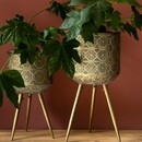 Dutchbone Botanique Brass Plant Stands from Accessories for the Home