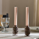 Elagalu Pine Cone Candlesticks (Set of 2) from Accessories for the Home