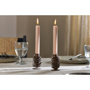Elagalu Pine Cone Candlesticks (Set of 2) from Accessories for the Home