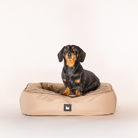 Extreme Lounging Mini B-Dog Bed from Accessories for the Home