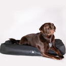 Extreme Lounging Monster B-Dog Bed from Accessories for the Home