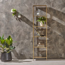 Slim narrow shelving unit with a thin brass frame and five shelves for displaying books, plants and decor