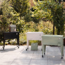 Zuiver Cooler Be Cool- Black, Cream or Green from Accessories for the Home