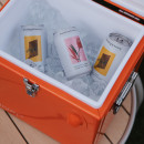 Zuiver Cooler Be Cute- Orange, Cream or Green from Accessories for the Home