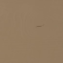 Woood Lowen Pine Storage Cabinet in Mud from Accessories for the Home