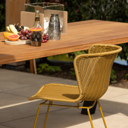 Woood Wings Indoor/Outdoor Chairs (Set of 2) from Accessories for the Home 2