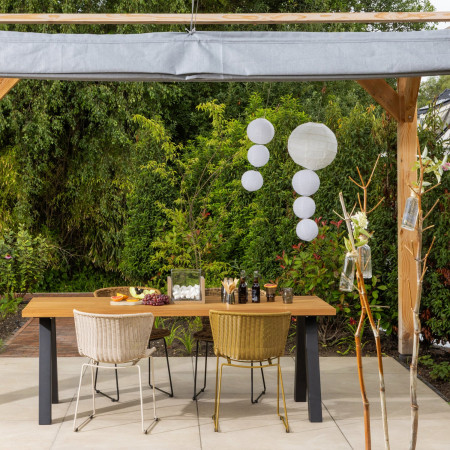 Woood Wings Indoor/Outdoor Chairs (Set of 2) from Accessories for the Home