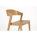 Wooz Dining Chairs- Set of Two (Natural or Walnut) from Accessories for the Home