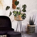 Madam Stoltz Natural Bamboo Plant Stand from Accessories for the Home