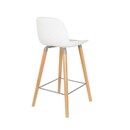 Zuiver Albert Kuip Bar Stool with Back from Accessories for the Home