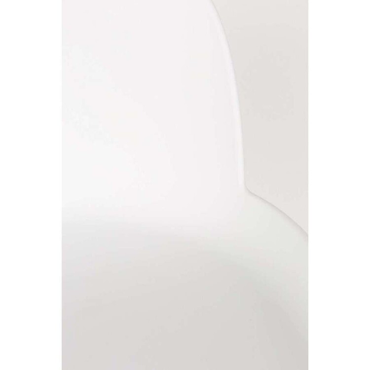 Zuiver Albert Kuip Bar Stool with Back from Accessories for the Home