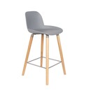 Zuiver Albert Kuip Bar Stool with Back from Accessories for the Home
