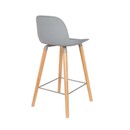 Zuiver Albert Kuip Bar Stool with Back from Accessories for the Home