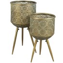 Dutchbone Botanique Brass Plant Stands from Accessories for the Home