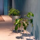 Dutchbone Botanique Brass Plant Stands from Accessories for the Home