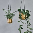 Atsu Brass Hanging Metal Planters from Accessories for the Home