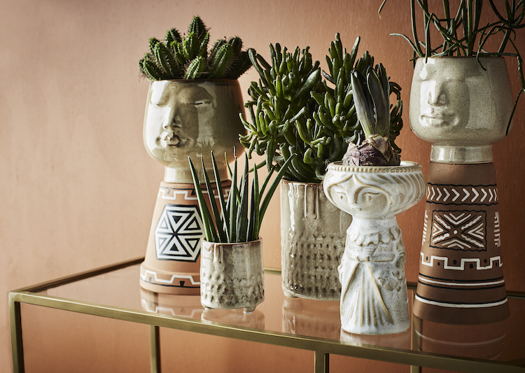 potted plants on a table